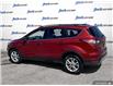 2017 Ford Escape SE (Stk: 162393) in London - Image 4 of 25
