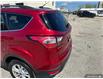 2017 Ford Escape SE (Stk: 162393) in London - Image 12 of 25