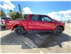 2025 Ford F-150 XLT (Stk: 5Z115) in Timmins - Image 6 of 15