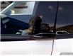 2025 Ford Mustang Mach-E Select (Stk: JS310) in Kamloops - Image 13 of 34