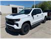 2025 Chevrolet Silverado 1500 LT Trail Boss (Stk: TS193287) in Caledonia - Image 1 of 7