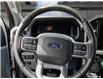 2025 Ford F-150 Lightning XLT (Stk: TS325) in Kamloops - Image 19 of 32