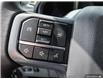 2025 Ford F-150 Lightning XLT (Stk: TS325) in Kamloops - Image 20 of 32