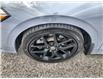 2024 Honda Civic Si Base (Stk: 080268) in Ottawa - Image 10 of 25