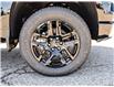 2025 Chevrolet Silverado 1500 LT Trail Boss (Stk: LC1S00360) in Tilbury - Image 8 of 30