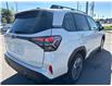 2025 Subaru Forester Limited (Stk: S25371) in Newmarket - Image 3 of 6