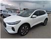 2024 Ford Escape Platinum (Stk: 19115) in Calgary - Image 1 of 26