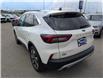 2024 Ford Escape Platinum (Stk: 19115) in Calgary - Image 3 of 26