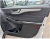 2024 Ford Escape Platinum (Stk: 19115) in Calgary - Image 13 of 26