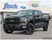 2025 Ford F-150 Platinum (Stk: XFP666) in Sarnia - Image 1 of 24