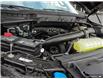 2025 Ford F-150 Platinum (Stk: XFP666) in Sarnia - Image 6 of 24