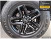 2022 Chevrolet Silverado 1500 LT Trail Boss (Stk: T5207A) in Kincardine - Image 7 of 23