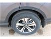 2020 Honda CR-V LX (Stk: 24S074A) in Medicine Hat - Image 13 of 24