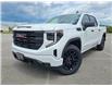 2024 GMC Sierra 1500 Pro (Stk: 712020) in Sarnia - Image 1 of 40