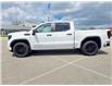 2024 GMC Sierra 1500 Pro (Stk: 712020) in Sarnia - Image 4 of 40