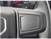 2024 GMC Sierra 1500 Pro (Stk: 712020) in Sarnia - Image 23 of 40
