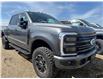 2025 Ford F-350 Platinum (Stk: 25DFT043) in Drayton Valley - Image 2 of 13