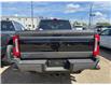 2025 Ford F-350 Platinum (Stk: 25DFT043) in Drayton Valley - Image 4 of 13
