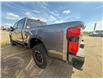 2025 Ford F-350 Platinum (Stk: 25DFT043) in Drayton Valley - Image 5 of 13