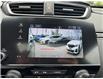 2022 Honda CR-V Sport (Stk: 252968P) in Richmond Hill - Image 15 of 25