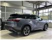 2023 Infiniti QX60 Luxe (Stk: 80022) in Mississauga - Image 5 of 25