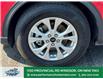 2023 Ford Escape Active (Stk: TL22068) in Windsor - Image 2 of 27