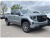 2025 GMC Sierra 1500 Pro (Stk: CS187) in High River - Image 2 of 6