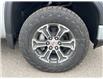 2025 GMC Sierra 1500 Pro (Stk: CS187) in High River - Image 6 of 6
