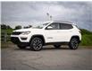2019 Jeep Compass Sport (Stk: 29350) in Surrey - Image 22 of 22