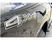 2024 Ford F-150 XLT (Stk: P77880) in Vancouver - Image 8 of 36