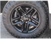 2021 Chevrolet Silverado 1500 LT Trail Boss (Stk: 25384AA) in Orangeville - Image 9 of 32
