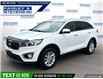 2017 Kia Sorento 2.0L LX Turbo (Stk: P3112) in Dartmouth - Image 1 of 24