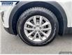 2017 Kia Sorento 2.0L LX Turbo (Stk: P3112) in Dartmouth - Image 7 of 24