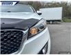 2017 Kia Sorento 2.0L LX Turbo (Stk: P3112) in Dartmouth - Image 8 of 24