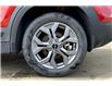 2024 Kia Seltos EX (Stk: 24A8263) in Sherwood Park - Image 9 of 30