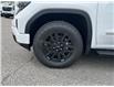 2025 GMC Sierra 1500 Elevation (Stk: RC1R01342) in LaSalle - Image 9 of 30