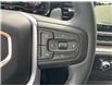 2025 GMC Sierra 1500 Elevation (Stk: RC1R01342) in LaSalle - Image 29 of 30