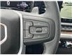 2025 GMC Sierra 1500 Elevation (Stk: RC1R01239) in LaSalle - Image 30 of 31