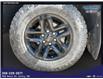 2022 Chevrolet Silverado 1500 Custom Trail Boss (Stk: 3872A) in Unity - Image 16 of 16
