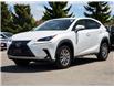 2021 Lexus NX 300 Base (Stk: 1318) in Hamilton - Image 3 of 30