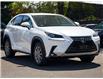 2021 Lexus NX 300 Base (Stk: 1318) in Hamilton - Image 6 of 30