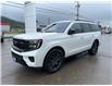 2025 Ford Expedition Platinum (Stk: 25S848) in CRESTON - Image 3 of 32