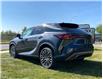 2025 Lexus RX 350 Base (Stk: 250963) in Calgary - Image 4 of 24