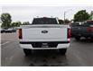 2024 Ford F-150 XLT (Stk: 25156A) in Amherstburg - Image 9 of 16