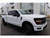 2024 Ford F-150 XLT (Stk: 25156A) in Amherstburg - Image 6 of 16
