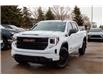 2025 GMC Sierra 1500 Elevation (Stk: 50380-D-new) in Edmonton - Image 2 of 12