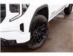 2025 GMC Sierra 1500 Elevation (Stk: 50380-D-new) in Edmonton - Image 6 of 12