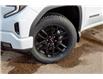2025 GMC Sierra 1500 Elevation (Stk: 50911-new) in Edmonton - Image 7 of 20
