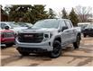 2025 GMC Sierra 1500 Pro (Stk: 50914-new) in Edmonton - Image 2 of 17