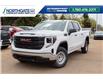 2025 GMC Sierra 1500 Pro (Stk: 51165-new) in Edmonton - Image 1 of 12
